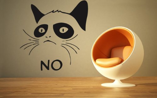 Trolling Cat Funny NO Kids Children Mural Wall Art Decor